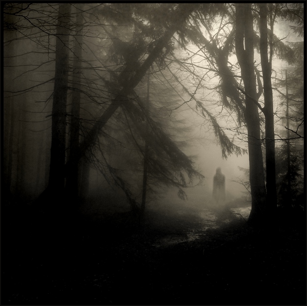 [FIXO] Floresta da Noite Eterna Nevoeiroentrepinheiros
